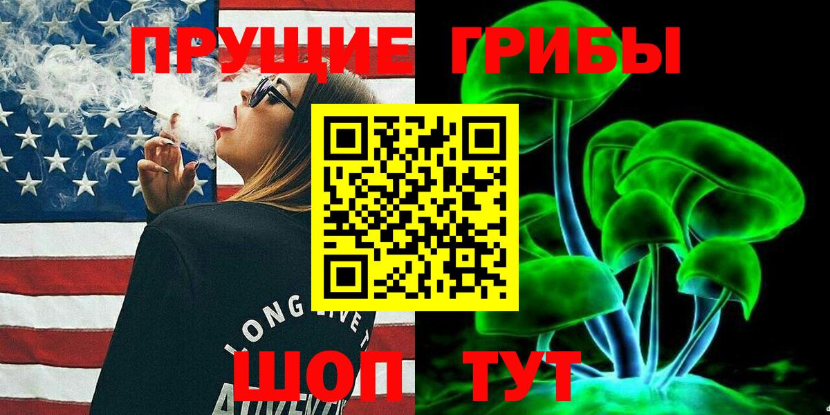 Псилоцибиновые грибы Cubensis  Вход с VPN  Петрозаводск 