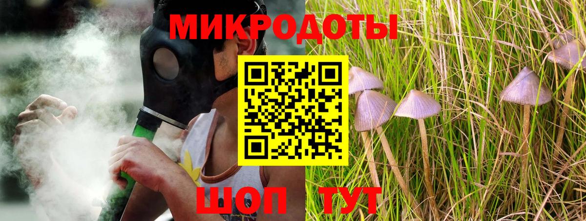 Псилоцибиновые грибы Psilocybe Петрозаводск